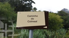 Imagem de Nova ligação ao Curral das Freiras não está para breve