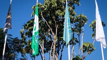 Imagem de Funchal volta a hastear Bandeira Verde ECO XXI