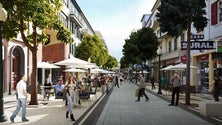Imagem de Comércio do Funchal insolvente (Vídeo)