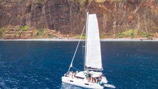 Imagem de Empresário madeirense quer criar ligações marítimas entre o Funchal e a Calheta