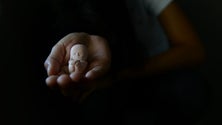 Imagem de Número de abortos por opção desceu 25% entre 2011 e 2017