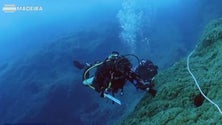 Imagem de Peso da economia do Mar no PIB da Madeira é superior a 10% (Vídeo)