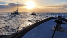 Imagem de Duas centenas de ocorrências registadas pela Marinha, em 2019, na Madeira