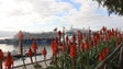 Imagem de Segurança reforçada no Porto do Funchal (áudio)