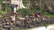 Imagem de Parque desportivo em Câmara de Lobos pronto até ao final de 2023 (vídeo)