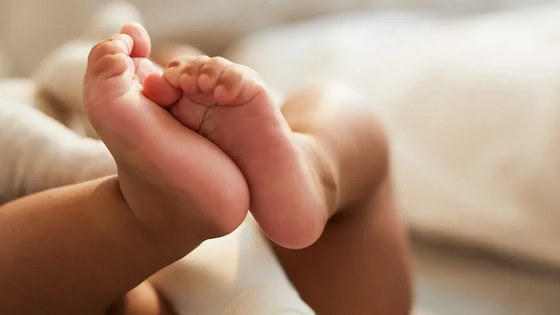 Imagem de Dos bebés nascidos em Portugal 14 % são de mãe estrangeira