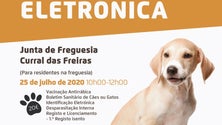 Imagem de Câmara de Lobos retoma campanha de vacinação de animais domésticos