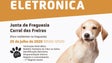 Imagem de Câmara de Lobos retoma campanha de vacinação de animais domésticos