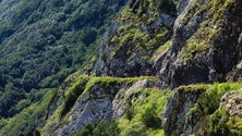Imagem de Imagens inéditas da Madeira (vídeo)