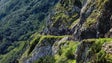 Imagem de Imagens inéditas da Madeira (vídeo)
