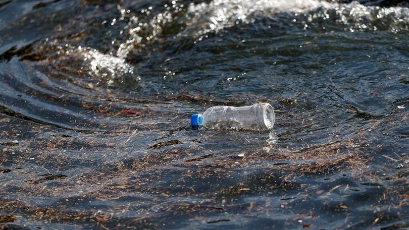 Imagem de Proteção de 30% dos oceanos ajudaria a resolver crises climáticas