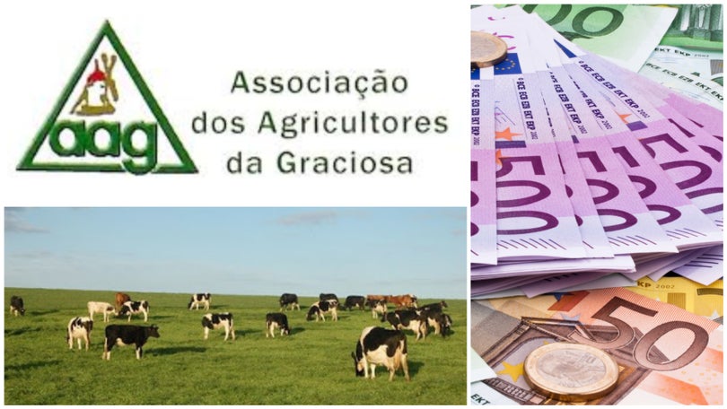 Imagem de Apresentação de contas