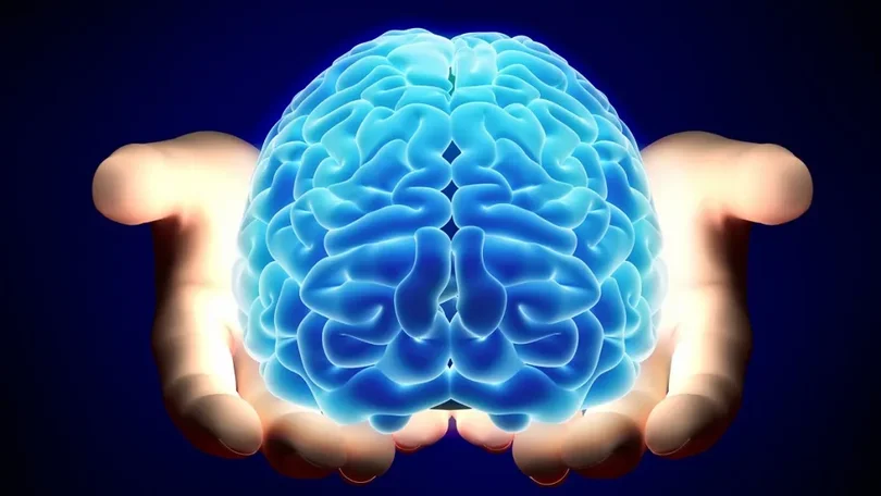 Imagem de Cientistas descobrem relógio interno do cérebro