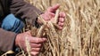 MNE contra suspensão do acordo de exportações de cereais pela Rússia