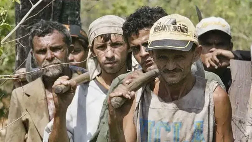 Libertados 212 trabalhadores brasileiros mantidos em condições semelhantes às da escravatura