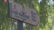 Imagem de Luís Fernandes recomenda trilhos do Porto da Cruz para treinar Trail Running