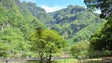 Imagem de Madeira é a região da Macaronésia mais afetada por catástrofes