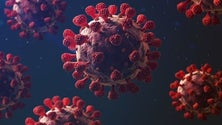 Imagem de Portugal regista 37 casos da variante Ómicron