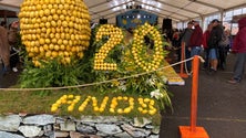 Imagem de Mostra do Limão dinamiza economia local (áudio)