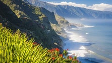 Imagem de Madeira vai lançar duas aplicações móveis que visam promover o destino  (Áudio)