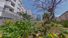 Imagem de Visita virtual aos jardins da Jaime Moniz