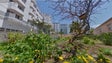 Imagem de Visita virtual aos jardins da Jaime Moniz
