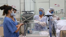 Imagem de Covid-19: Universidade de Coimbra quer prevenir transmissão do vírus no SNS