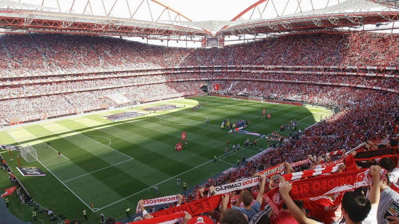 Imagem de Benfica desmente “total e categoricamente” qualquer pretenso aliciamento