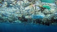 Imagem de Devolução paga pelas garrafas plástico pode ajudar a reduzir poluição do plástico