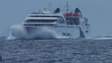 Imagem de Lobo Marinho já chegou ao Porto Santo