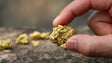 A Venezuela tem a 4ª. maior mina de ouro do mundo