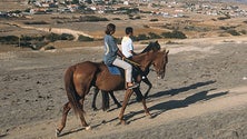 Centro Hípico e a Pousada da Juventude do Porto Santo vão ser reabilitados (áudio)