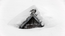 Imagem de Tempestade de neve na Califórnia deixa mais de 126 mil sem luz