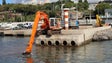 APRAM reforçou equipas de limpeza no Cais de Recreio do Porto do Funchal (áudio)