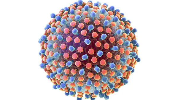 Imagem de Madeira tem identificados 700 casos de Hepatite C