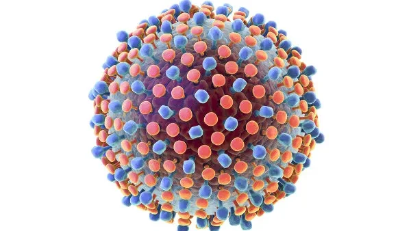 Madeira tem identificados 700 casos de Hepatite C