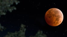 Imagem de Eclipse vai pôr a Lua vermelha esta sexta-feira