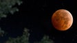 Imagem de Eclipse vai pôr a Lua vermelha esta sexta-feira