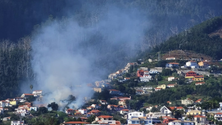 Imagem de Incêndio na zona de São Roque mobiliza cinco elementos dos Bombeiros Sapadores do Funchal