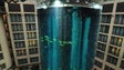 Imagem de Aquário gigante com 1.500 peixes rebentou em Berlim