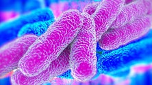 Imagem de A Madeira nunca registou casos de legionella