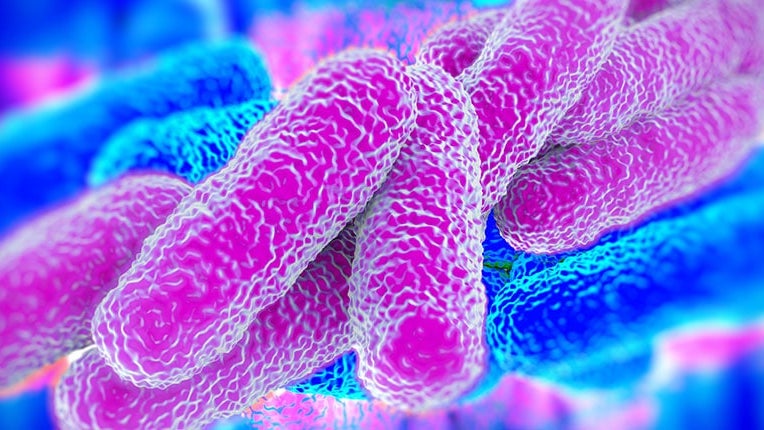 Imagem de A Madeira nunca registou casos de legionella