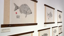Imagem de Impressões de Peixes no Museu de História Natural do Funchal (vídeo)