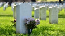 Imagem de Mais de 450 mil mortos e acima de 8,4 milhões de infeções no mundo
