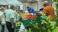 Feirantes do Santo da Serra falam em tempos bons (vídeo)