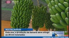 Imagem de Produção de banana deve atingir 20 mil toneladas (Vídeo)