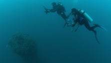 Imagem de EUA investem em projeto sobre oceanos do Instituto de Tecnologias da Madeira