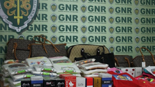 Imagem de GNR apreendeu 131 artigos contrafeitos em Câmara de Lobos