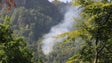 Imagem de Pequeno avião cai em floresta na Suíça