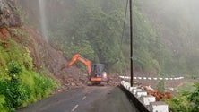 Imagem de Começaram os trabalhos de limpeza na Fajã das Galinhas